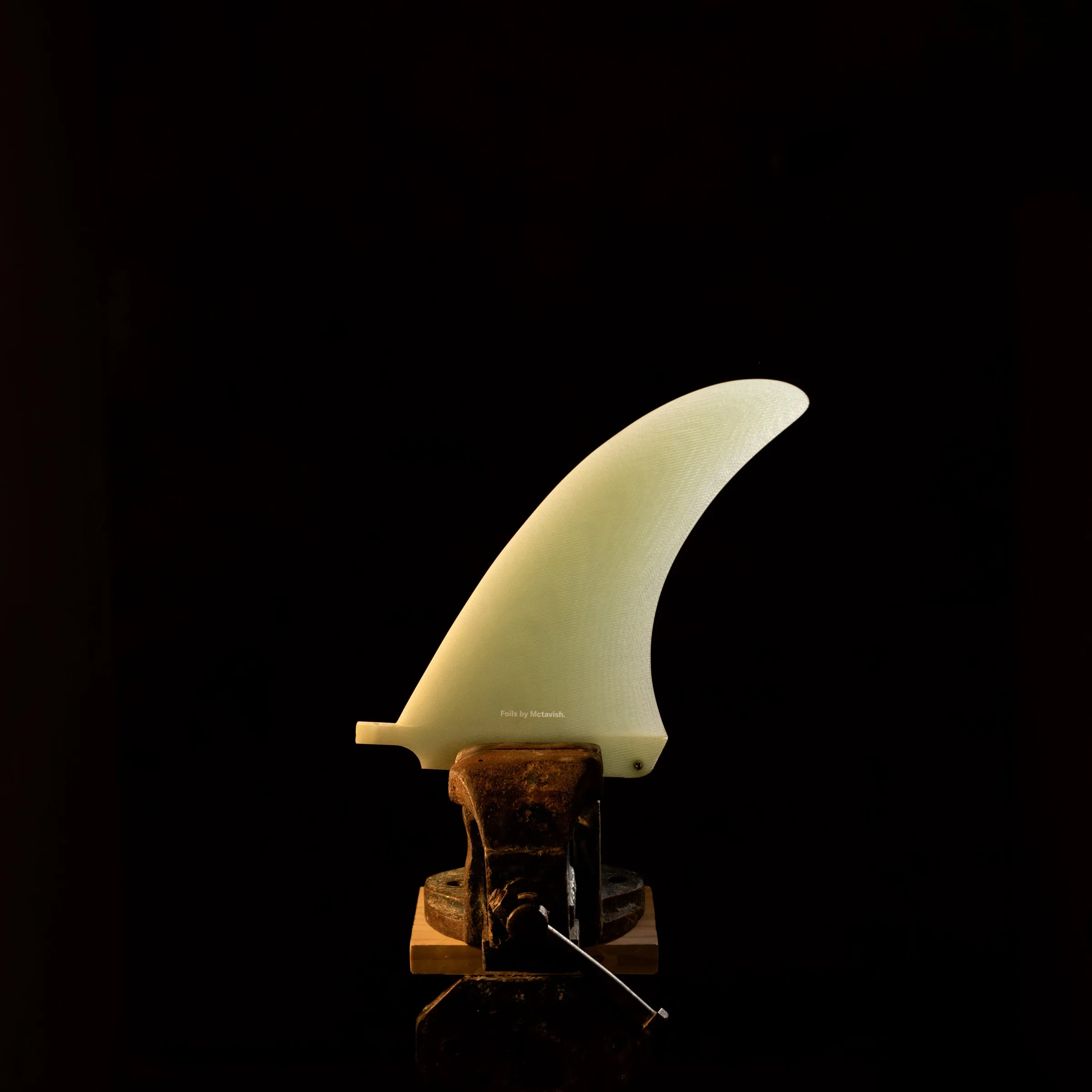 Bluebird Fin