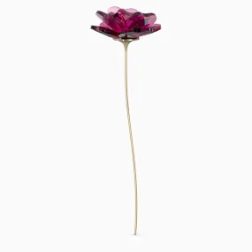 GARDEN TALES - ROSE