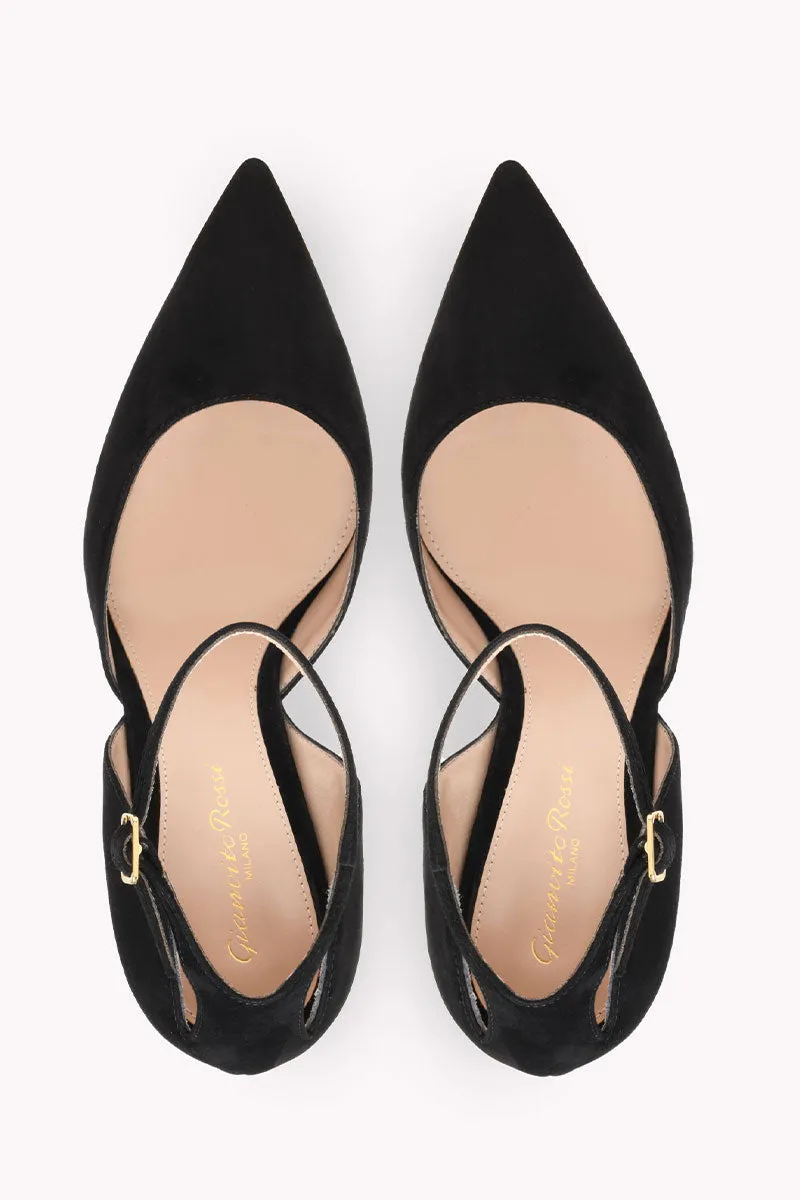 Hayette Pump