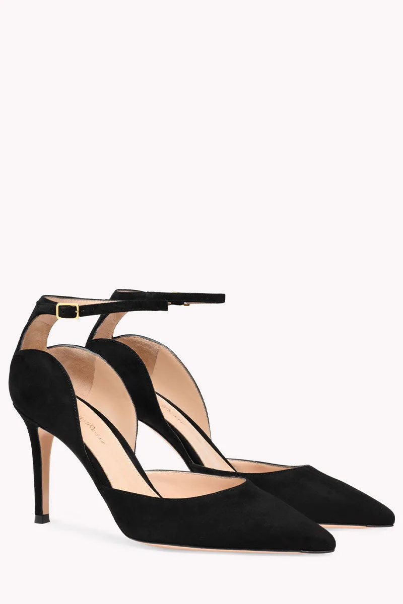 Hayette Pump